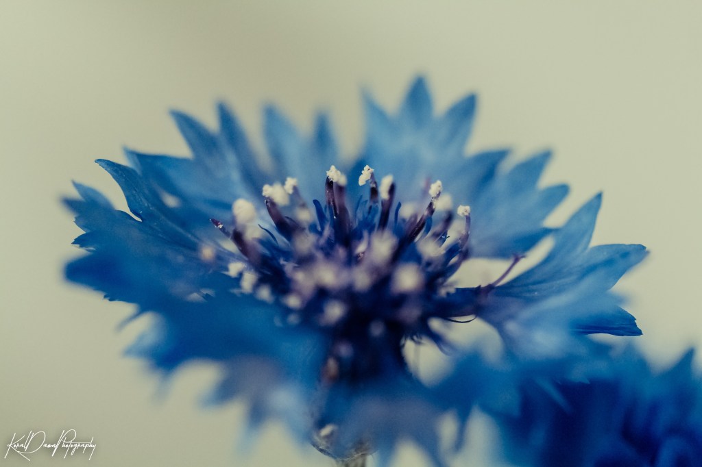 To Start Is Not To&nbsp;Begin