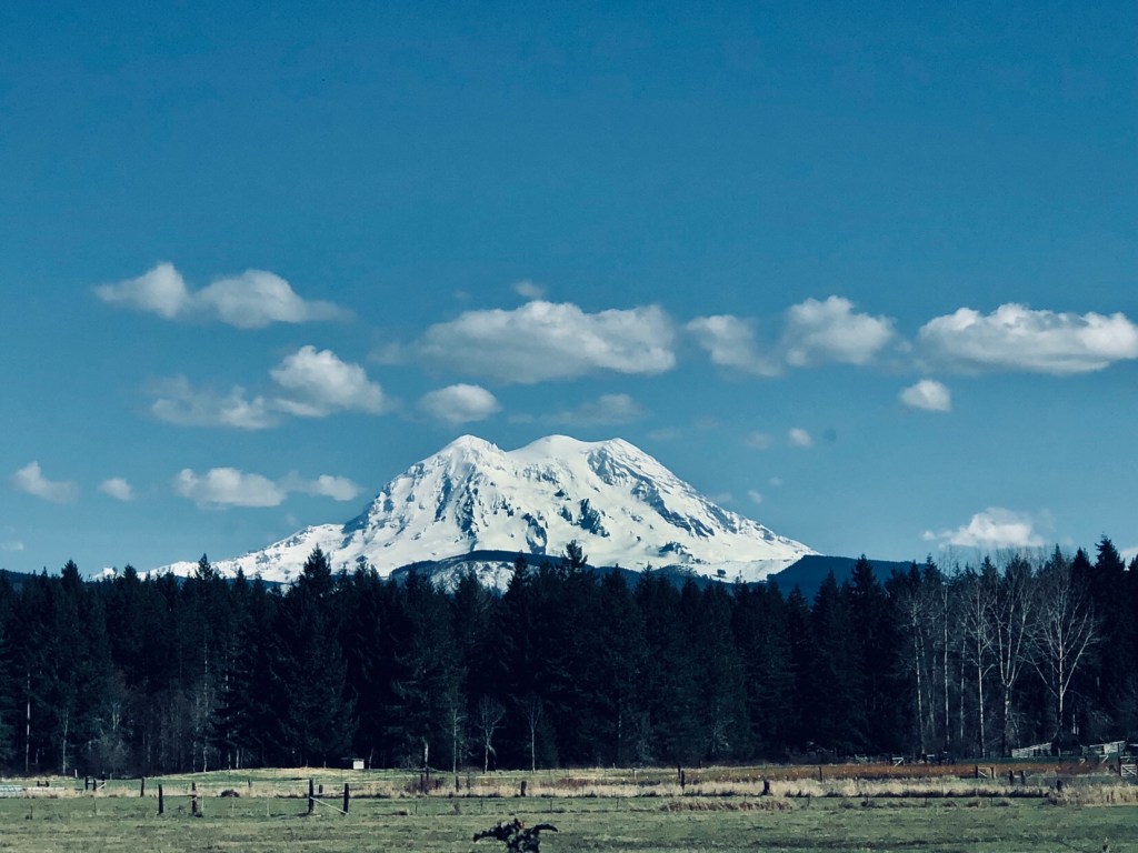 Off to New&nbsp;Heights