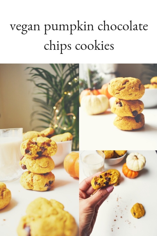 Vegan Pumpkin Chocolate Chip Cookies –&nbsp;Gabriela