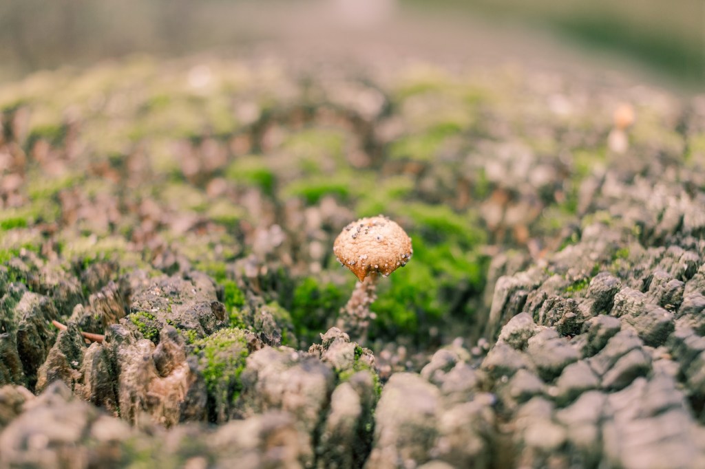 Protected: What’s Your&nbsp;Story?